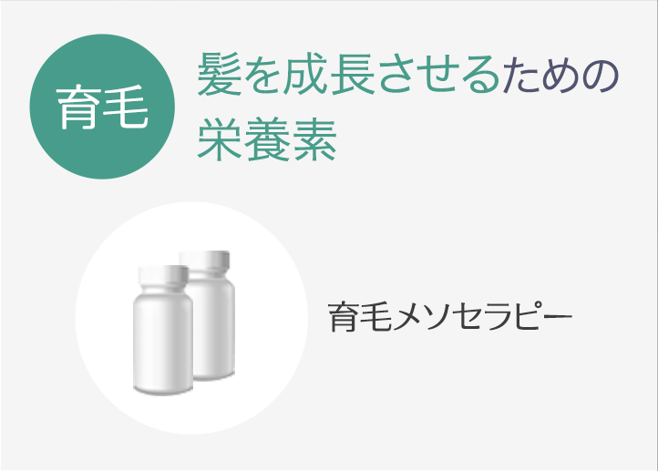 育毛 髪を成長させるための栄養素 育毛メソセラピー